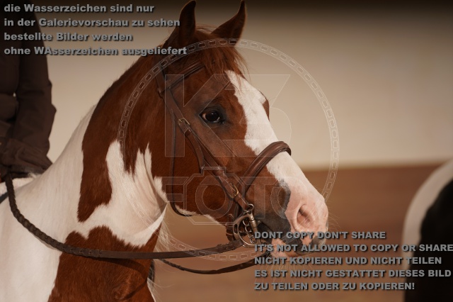 s_A_900686.JPG